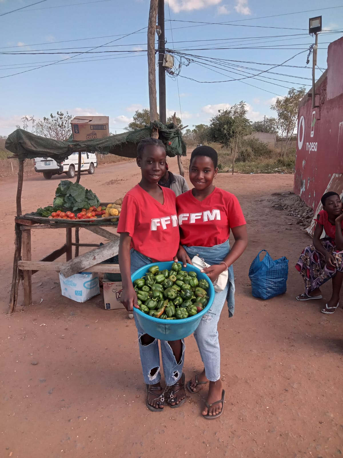 Jovens da AFFM com produção de pimento para comercialização